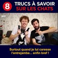 C'est la journée du chat, on vous dit tout ce que vous vouliez savoir sur les chats avec Norman fait des vidéos et Urbain !