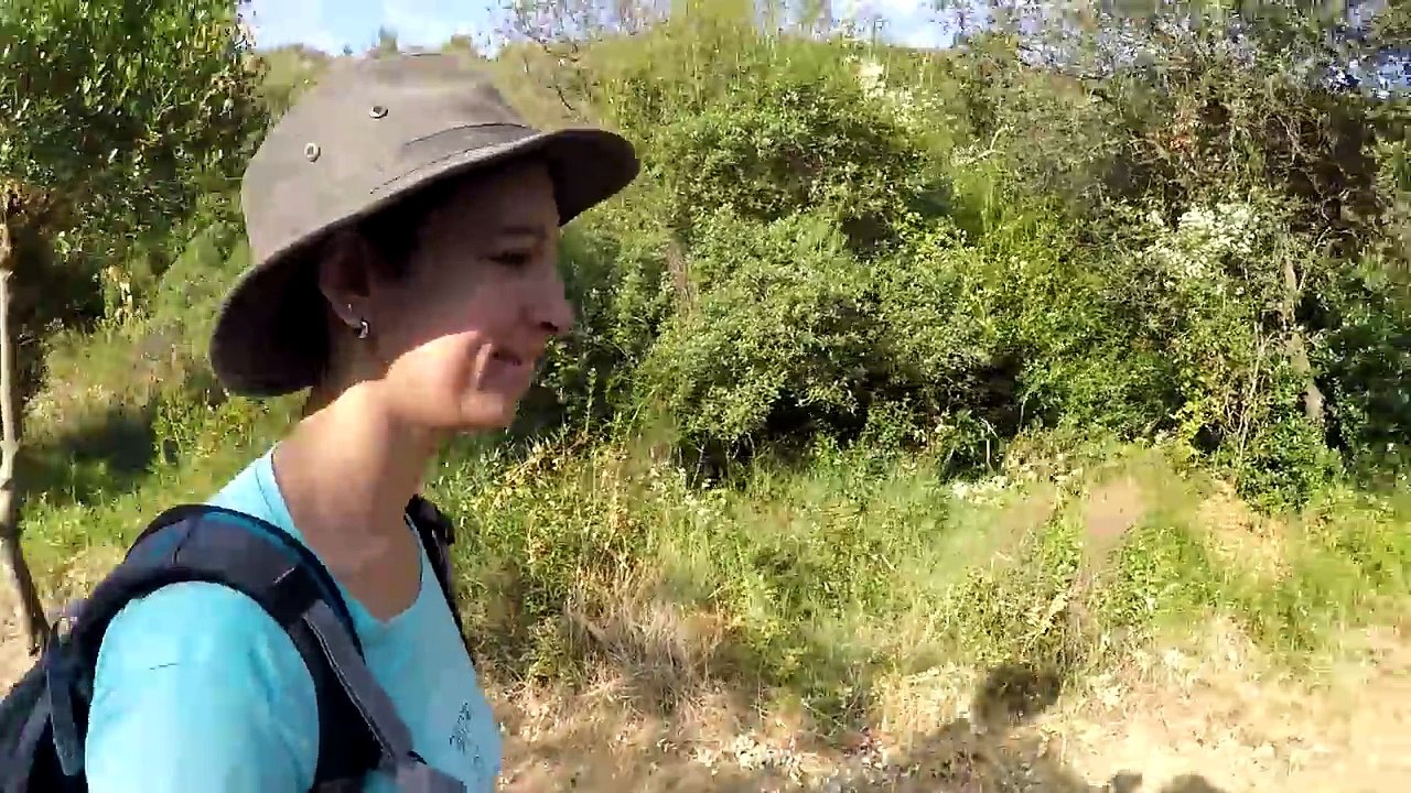 J'ai TROUVÉ une ÉNORME reine fourmis en pleine NATURE !