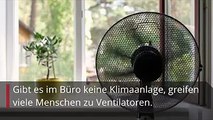 Um sich zumindest ein bisschen abzukühlen, helfen Ventilatoren bei der derzeitigen Hitzewelle vielen Menschen durch den Tag. Wird das Gerät im Büro oder auch da