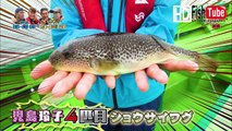 【釣】東京湾　大貫沖で　初夏の湾フグ釣り