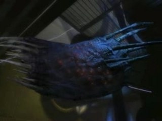 Duke Nukem Forever Teaser - Trailer