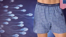 Wearing boxers can boost men's sperm count