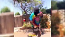 _TOP 9 BEST_ Drake in My Feelings _ KIKI DO YOU LOVE ME__-Funny Compilation