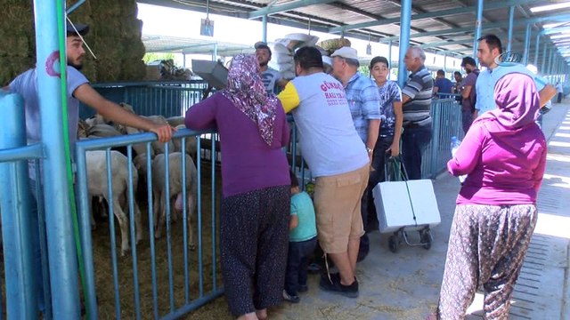 Bayrama sayılı günler kala hayvan pazarında durgunluk yaşanıyor