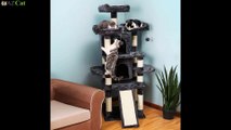 Best cat trees for Cats