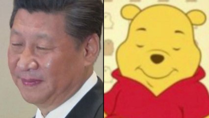 [뉴스인] 시진핑과 닮아서?...'곰돌이 푸' 중국서 상영 금지 / YTN