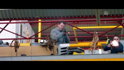 Sinema - Çılgın Baskın - İSTANBUL