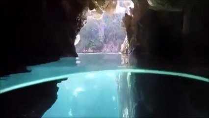 Download Video: Suivez ce touriste et plongez dans ces eaux limpides  le rêve