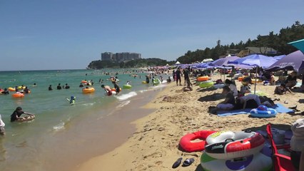 "바닷가도 뜨거워" 동해안 해수욕장 피서객 '뚝' / YTN