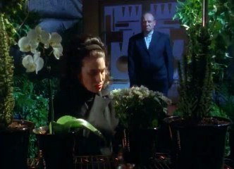 Animorphs S01 - Ep15 The Leader (2) HD Watch