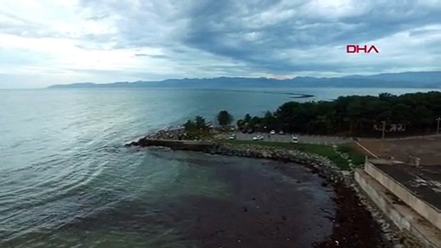 Ordu’da sel felaketi sonucu 30 tona yakın fındık denize aktı