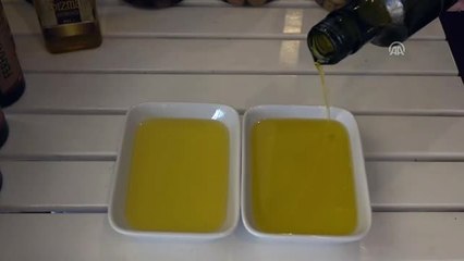 AB'ye Zeytinyağı İhracatında "Fon" Yükünün Kaldırılması Talebi - Balıkesir