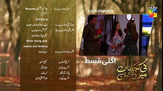 Ki Jaana Mein Kaun Episode #14 Promo HUM TV Drama