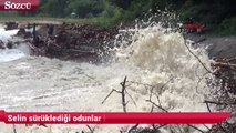 Selin sürüklediği odunlar için seferber oldular