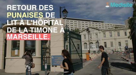 Punaises de lit  :  l'hôpital de Timone à Marseille encore touché