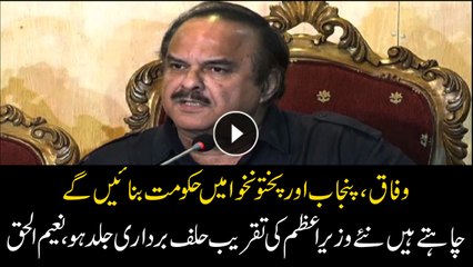 We will make government in Federal, Punjab and KPK: Naeem Ul Haq