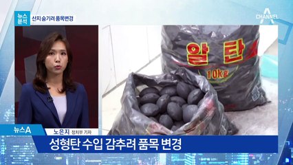 [뉴스분석]정체 숨긴 성형탄