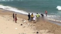 포항서 물에 빠진 30대 중국인 남성 숨져 / YTN