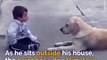 What the Neighbor's Dog Does to the Boy With Down's Syndrome Shows Why Dogs Are Truly Man's Best Friend
