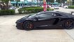 Black ANGRY BULL in Action Lamborghini Aventador Revving Acceleration