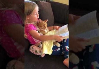 Patient Kitty Enjoys Story Time With His Favourite Human