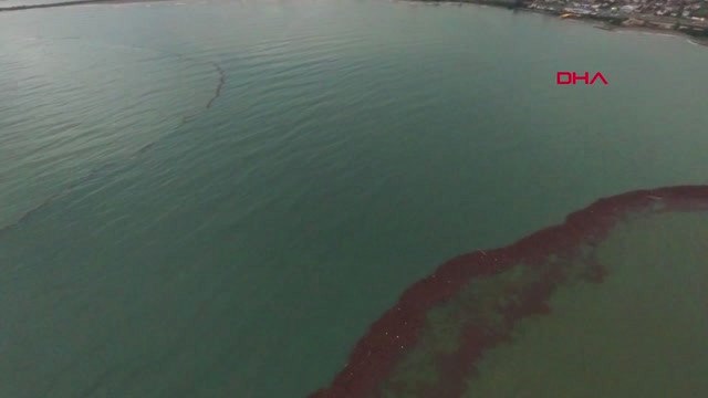 Ordu Denize Sürüklenen Fındıklar Havadan Görüntülendi