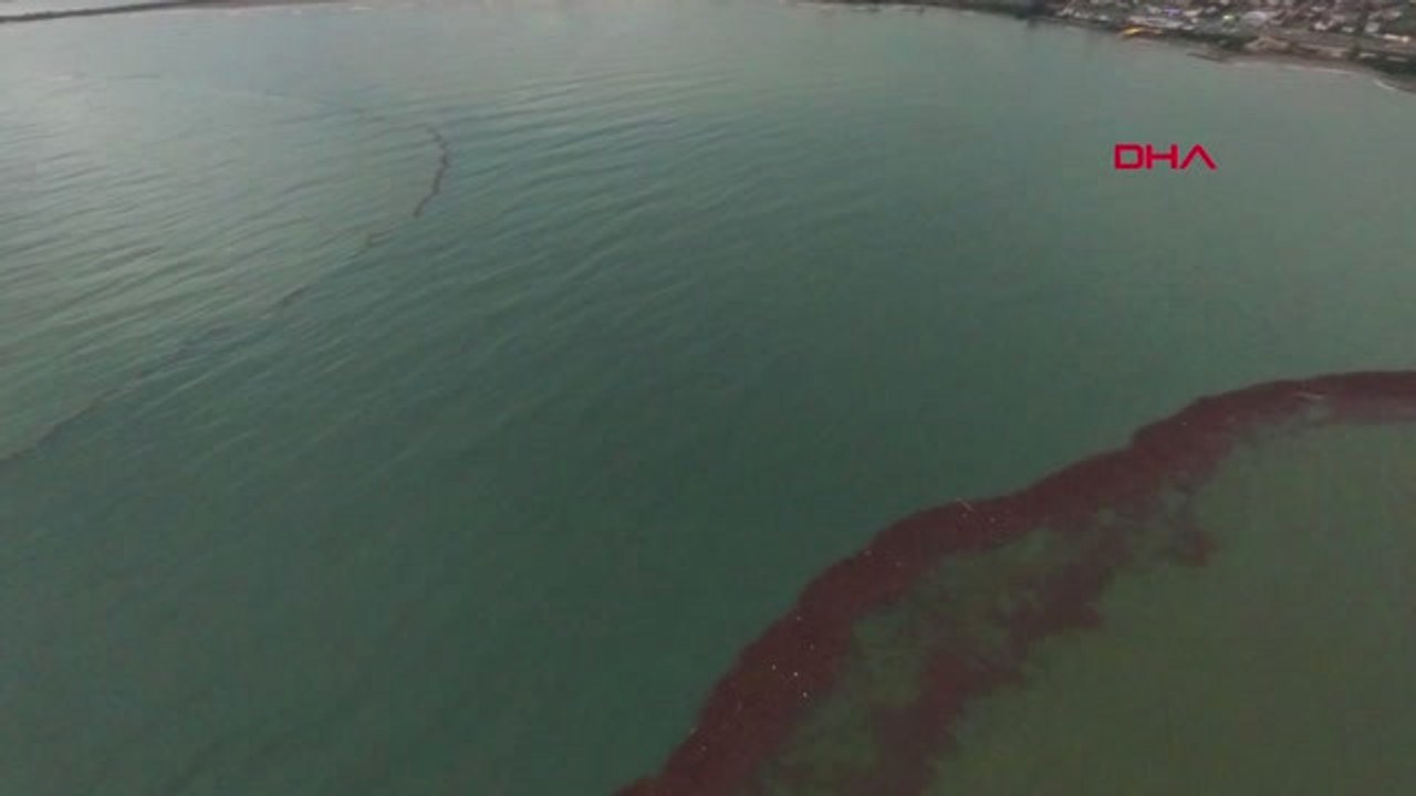 Ordu Denize Sürüklenen Fındıklar Havadan Görüntülendi