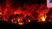 Scientists warn forest fires may work to reverse climate policies