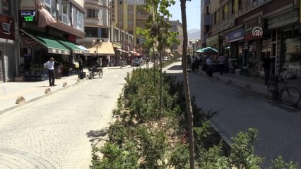 Delinatörlere zarar veren şüpheliler güvenlik kamerasında - VAN