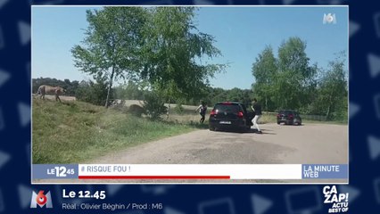Cette famille est sortie de sa voiture pendant un safari : mauvaise idée !