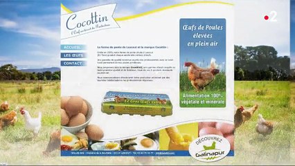 Tarn : un élevage de poulets fait polémique