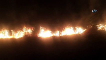 Çukurca'daki orman yangını kontrol altına alındı