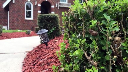 Beyonce's Childhood Home is For Sale