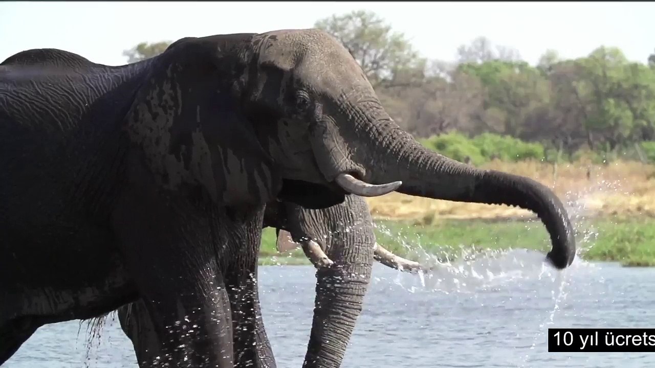 Serinleten Fırsatlar Vestel Klimalarda! - Vestel Yeni Reklam Filmi