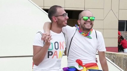 El Constitucional de Costa Rica falla a favor del matrimonio homosexual
