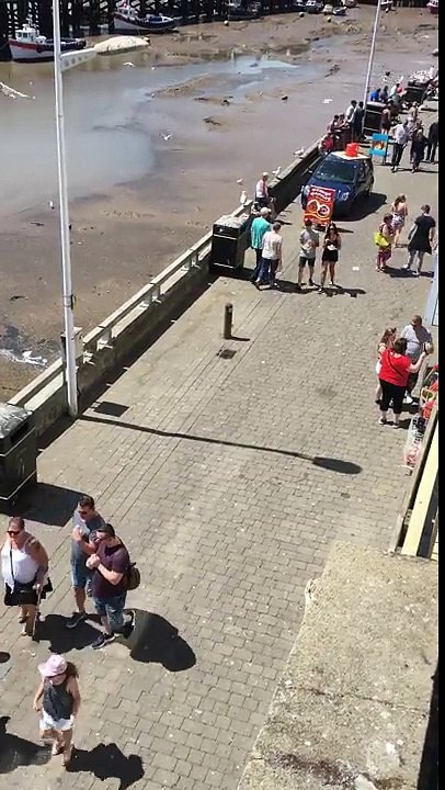 Une mouette attaque des passants et vole leur repas