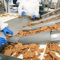 See's Candies makes 26 million pounds of candy each year