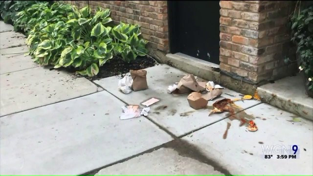 Video Shows Terrifying Armed Robbery in Chicago