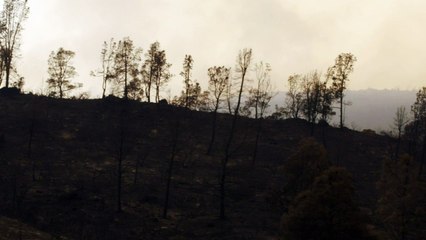 Progressos no combate de incêndios na Califórnia