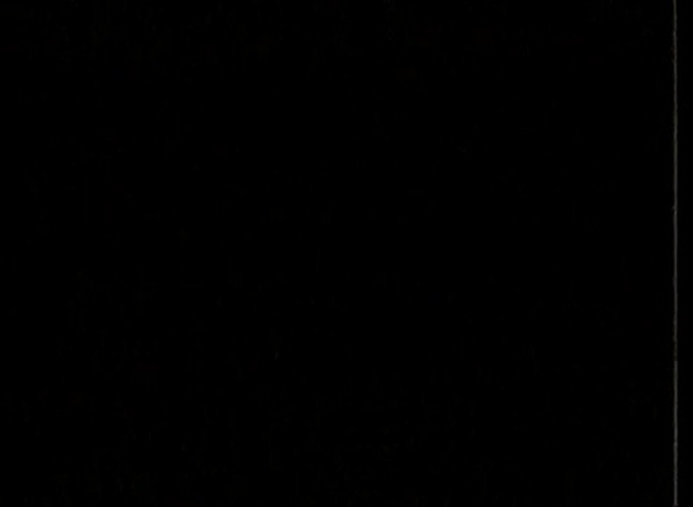 1994 Kral Türkiye Müzik Ödülleri - Tarkan ''Kış Güneşi"