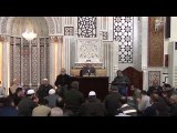 29 - يغالطونك إذ يقولون | الإسلام إنما انتشر بسلطان القهر والسيف