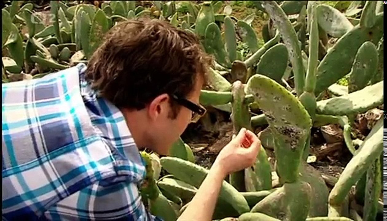 Éčka, Gurmánské Dobrodružství 1 Díl Barvy CZ Dabing  DOKUMENT