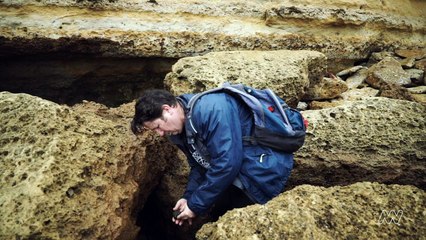 Rare teeth from ancient mega-shark found on Australia beach