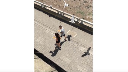 Des goélands volent de la nourriture à des touristes