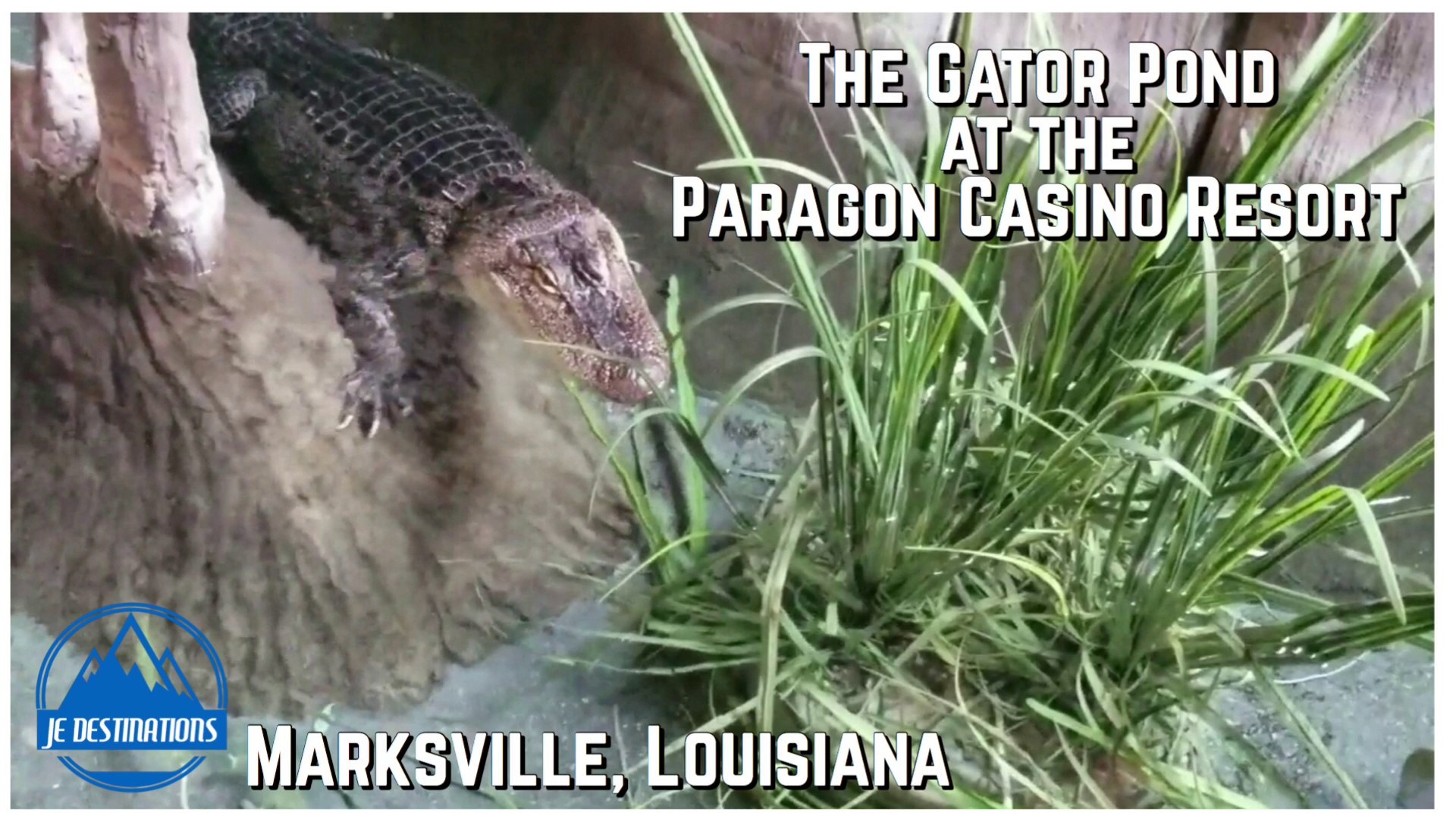 Paragon casino resort