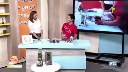ARTSY CRAFTSY: Terrarium making