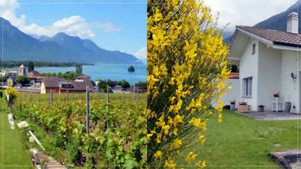 A vendre - Maison - Villeneuve (1844) - 175m²