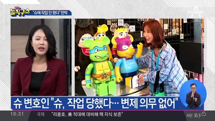 “6억 빌린 뒤 연락 두절”…슈, 사기죄 성립되나