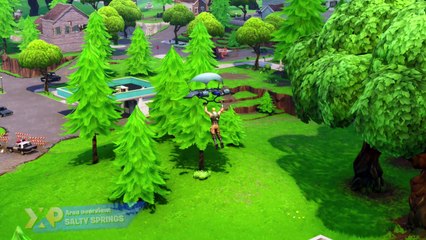 Area Overview: Salty Springs
