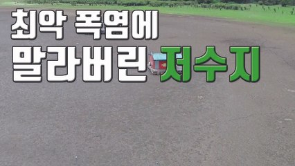 [자막뉴스] '최강 폭염'에 바닥 드러낸 예당저수지 / YTN